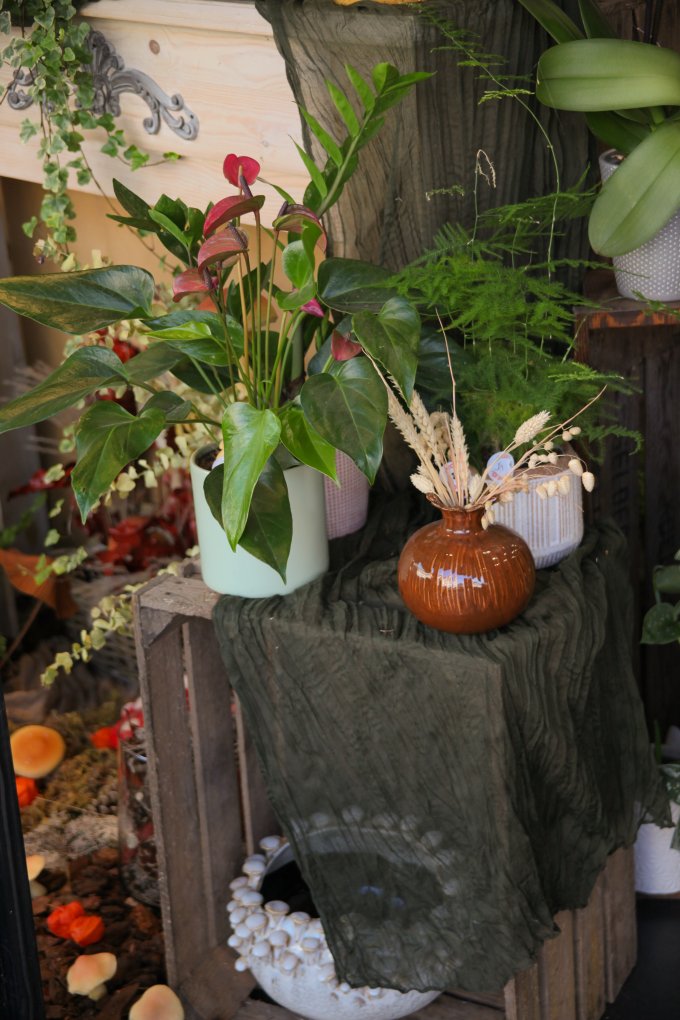 Un doux parfum d'automne photo 4